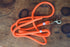 Orange Dog Leash with Orange & White Whipping