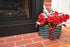 Double Weave Small Basket with No Handles - Hunter Green & Burgundy